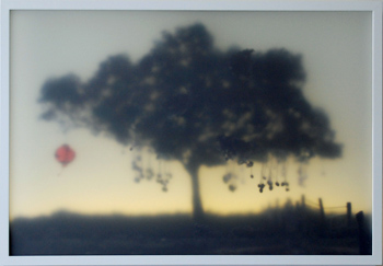 Manja Tree